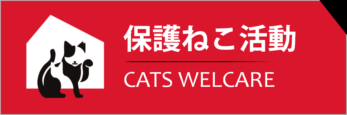 保護ねこ活動